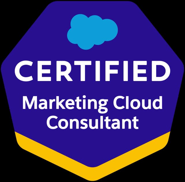 SalesForce Marketing Cloud Consultant